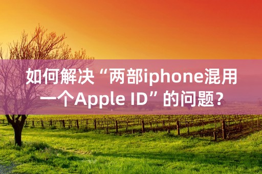 如何解决“两部iphone混用一个Apple ID”的问题？