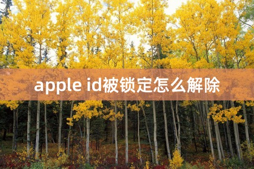 apple id被锁定怎么解除