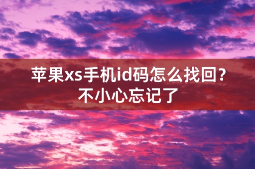 苹果xs手机id码怎么找回？不小心忘记了