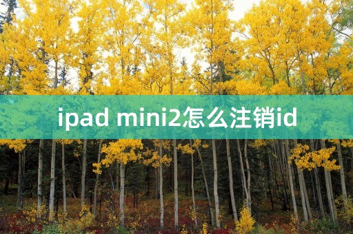 ipad mini2怎么注销id