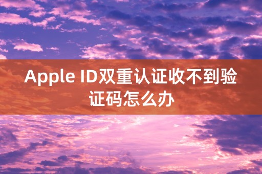 Apple ID双重认证收不到验证码怎么办