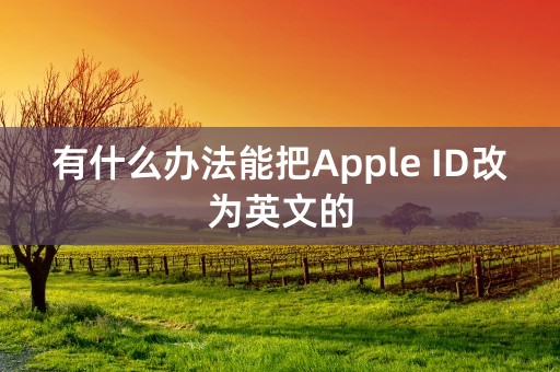 有什么办法能把Apple ID改为英文的