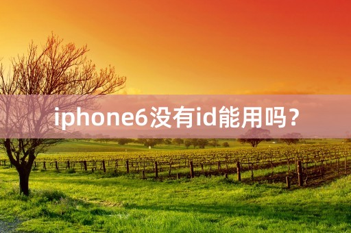 iphone6没有id能用吗？