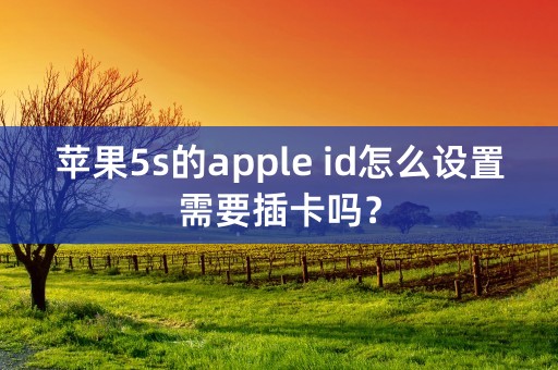 苹果5s的apple id怎么设置需要插卡吗？