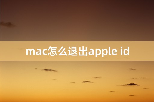 mac怎么退出apple id