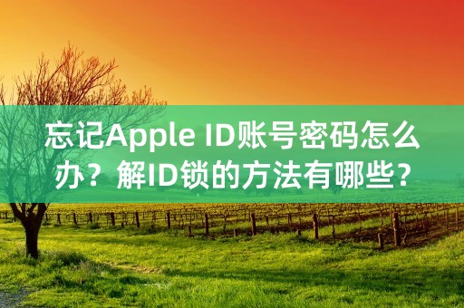 忘记Apple ID账号密码怎么办？解ID锁的方法有哪些？