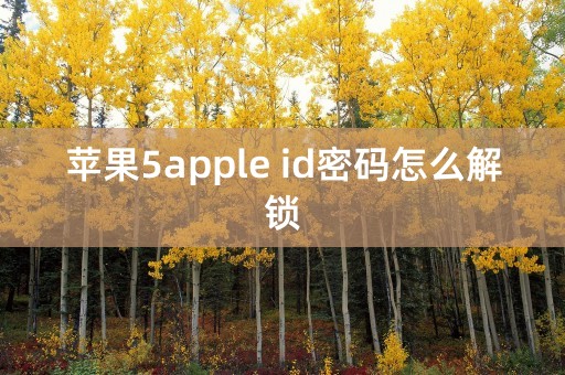 苹果5apple id密码怎么解锁