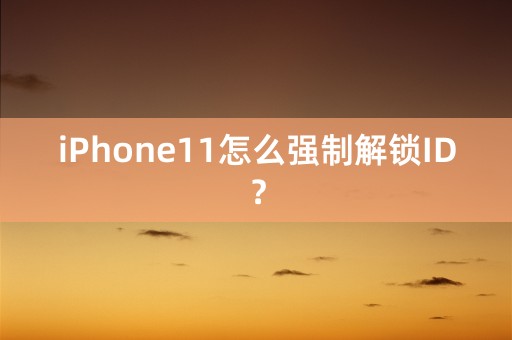 iPhone11怎么强制解锁ID？