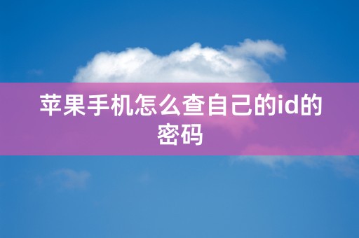 苹果手机怎么查自己的id的密码