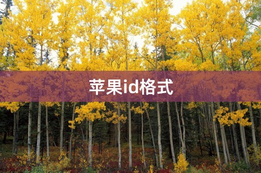 苹果id格式