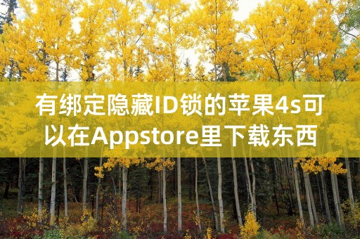 有绑定隐藏ID锁的苹果4s可以在Appstore里下载东西吗？不能的话怎么下载东西？