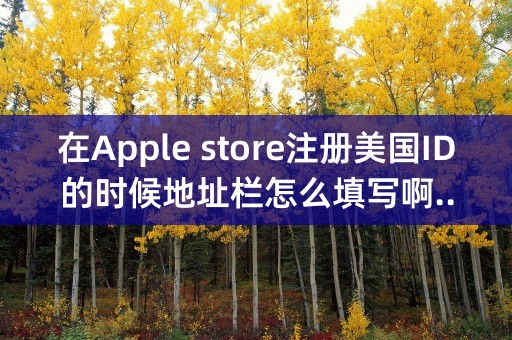 在Apple store注册美国ID的时候地址栏怎么填写啊..