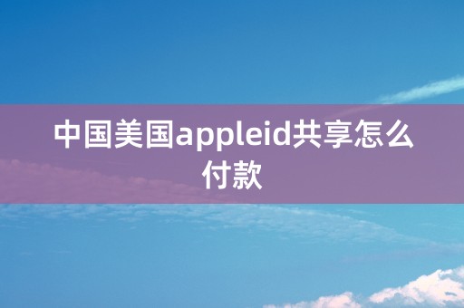 中国美国appleid共享怎么付款