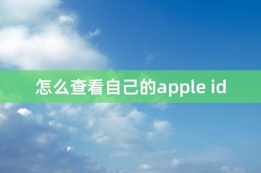 怎么查看自己的apple id