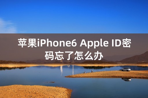 苹果iPhone6 Apple ID密码忘了怎么办