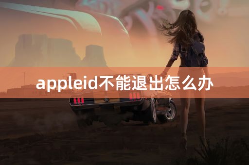 appleid不能退出怎么办