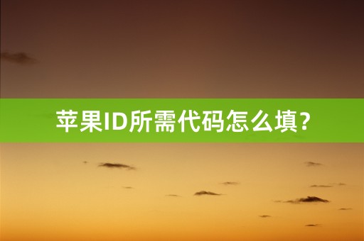 苹果ID所需代码怎么填？