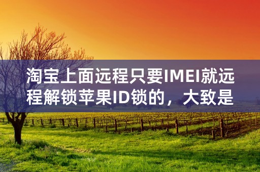 淘宝上面远程只要IMEI就远程解锁苹果ID锁的，大致是怎么弄得？行家来说下。