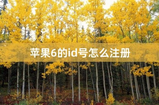 苹果6的id号怎么注册