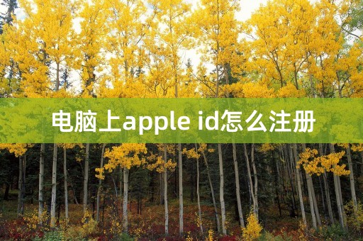 电脑上apple id怎么注册