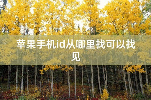 苹果手机id从哪里找可以找见