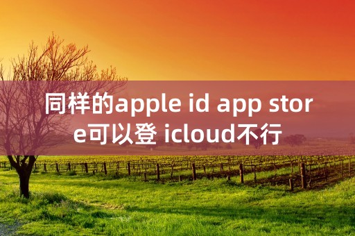 同样的apple id app store可以登 icloud不行