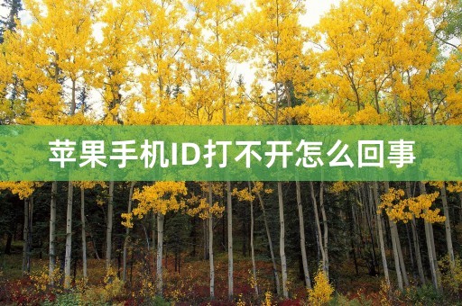 苹果手机ID打不开怎么回事