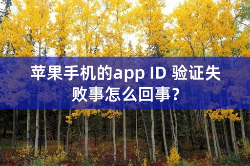 苹果手机的app ID 验证失败事怎么回事？