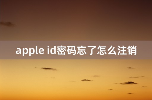 apple id密码忘了怎么注销