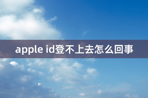 apple id登不上去怎么回事