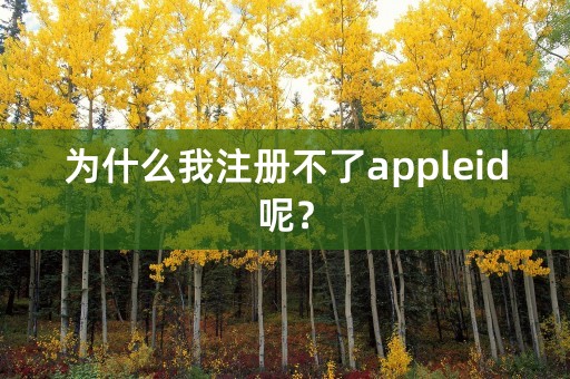 为什么我注册不了appleid呢？