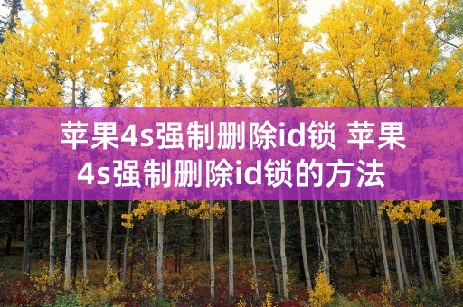 苹果4s强制删除id锁 苹果4s强制删除id锁的方法