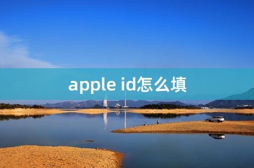 apple id怎么填