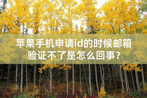 苹果手机申请id的时候邮箱验证不了是怎么回事？