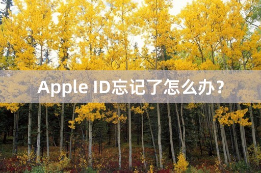 Apple ID忘记了怎么办？