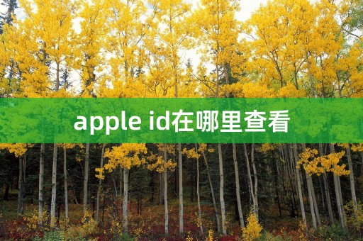 apple id在哪里查看