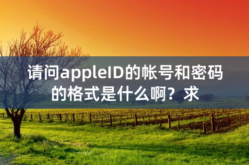 请问appleID的帐号和密码的格式是什么啊？求