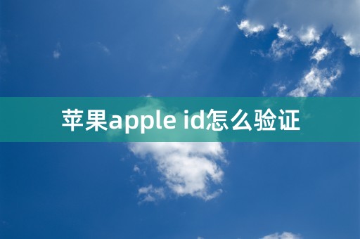 苹果apple id怎么验证