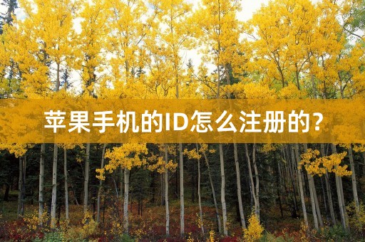 苹果手机的ID怎么注册的？