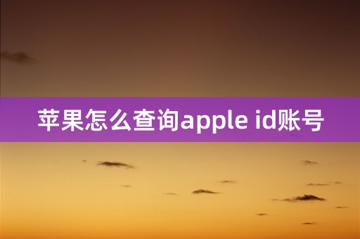 苹果怎么查询apple id账号