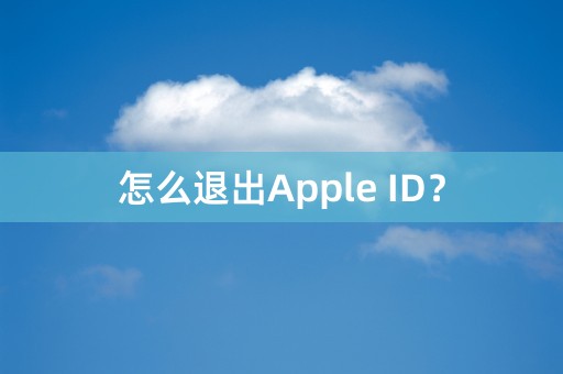 怎么退出Apple ID？