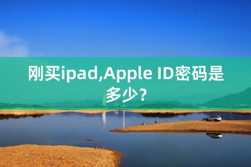 刚买ipad,Apple ID密码是多少？