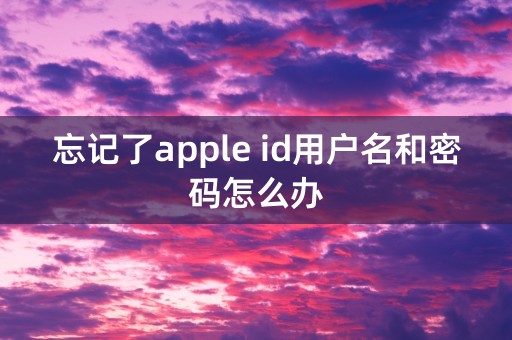 忘记了apple id用户名和密码怎么办