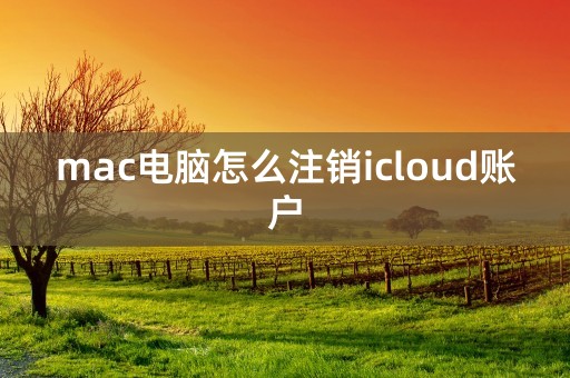 mac电脑怎么注销icloud账户