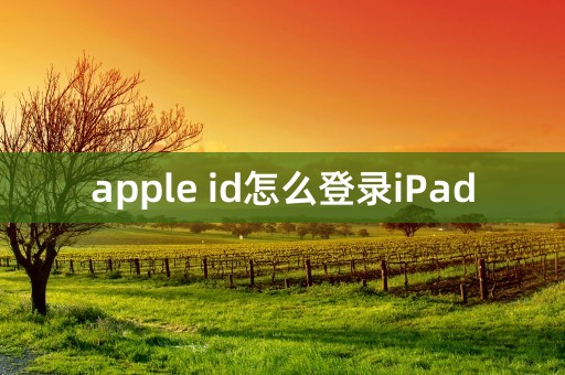 apple id怎么登录iPad