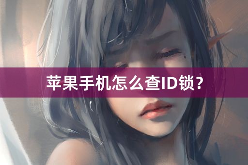 苹果手机怎么查ID锁？