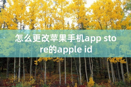 怎么更改苹果手机app store的apple id