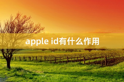 apple id有什么作用