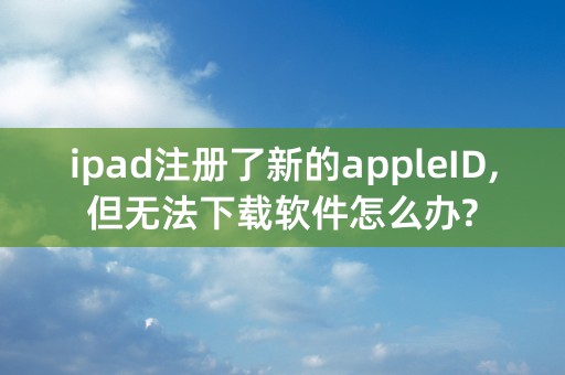 ipad注册了新的appleID,但无法下载软件怎么办?