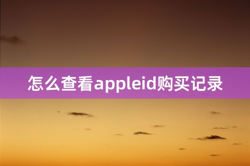 怎么查看appleid购买记录